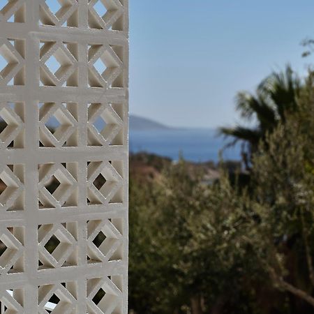 Doryssa Lithos Hotel Pythagório Eksteriør bilde